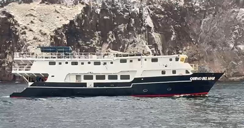 QUINO DEL MAR - SOCORRO ISLANDS 